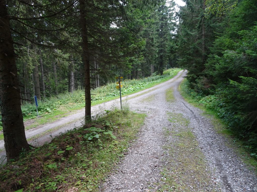 The big crossing between the two Alpannonia® stage 1 trails (long and short)