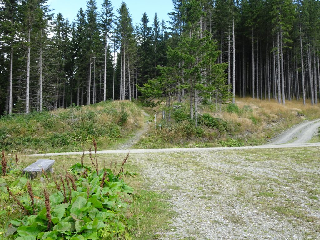 Keep straight and follow the small trail up to "Kranichberger Schwaig"