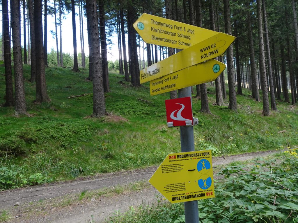 Turn left and follow the forest road towards "Kranichberger Schwaig"
