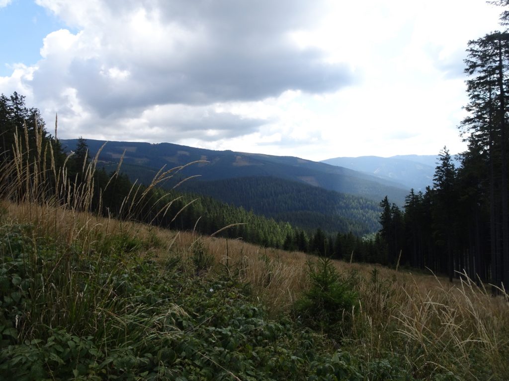 On the trail towards "Kranichberger Schwaig"