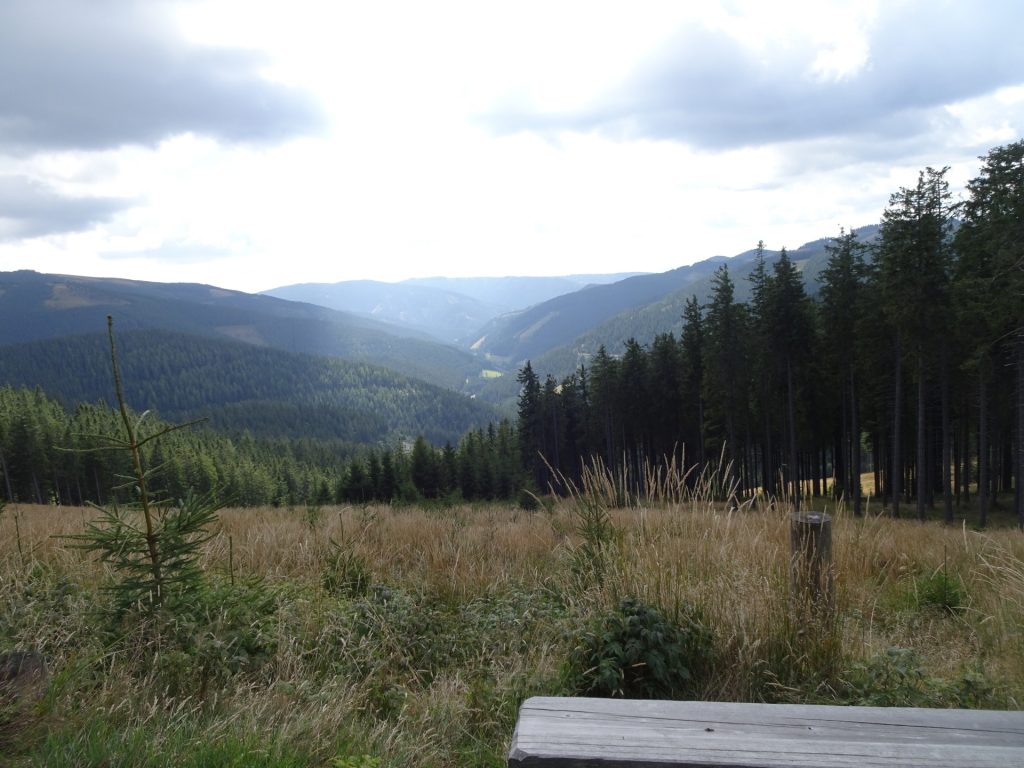 At the rest area on the trail towards "Kranichberger Schwaig"