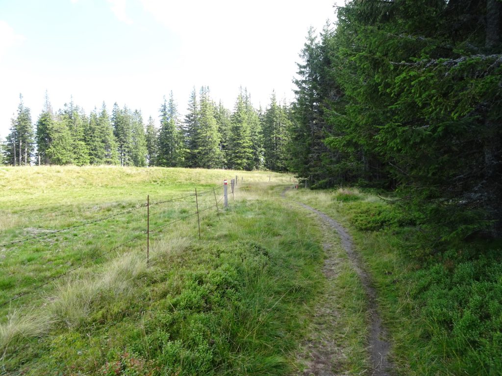 Follow the red-white-red marked trail towards "Kranichberger Schwaig"