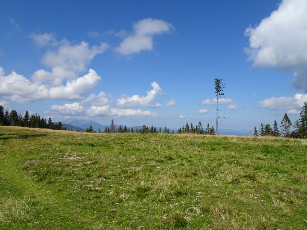 On the trail towards "Kranichberger Schwaig"