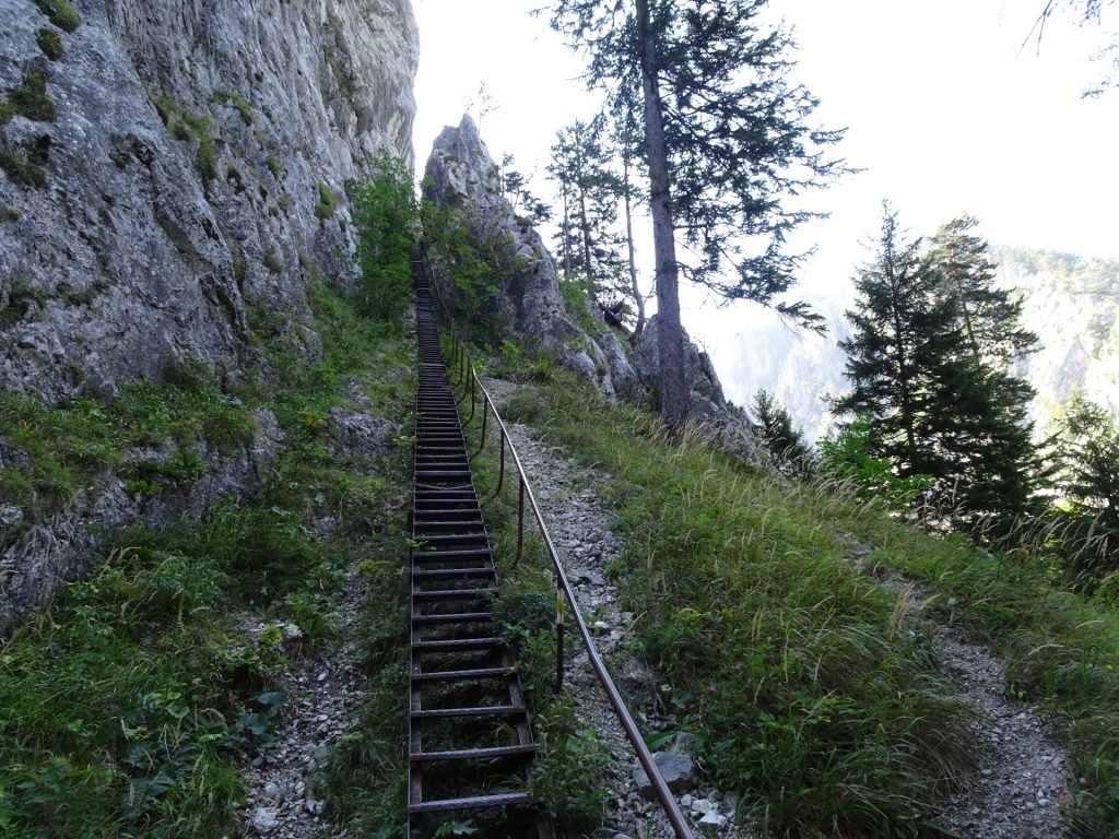 Ascending the "Schönbrunnerstiege"