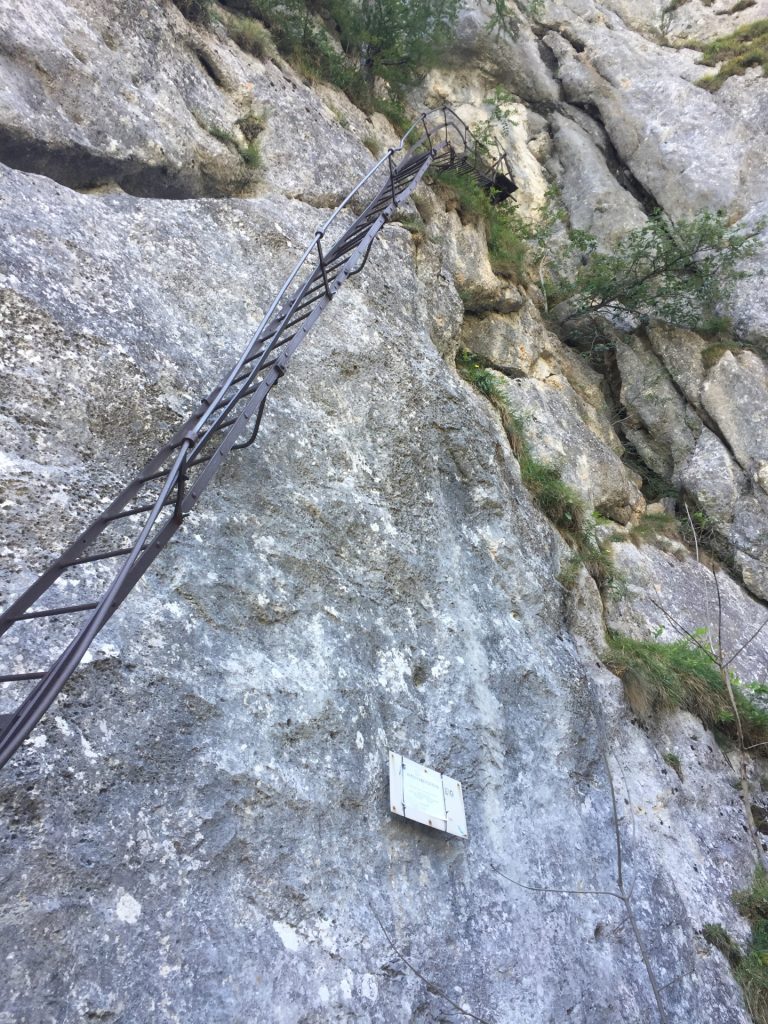 The long ladder at the begin of "Alpenvereinssteig"