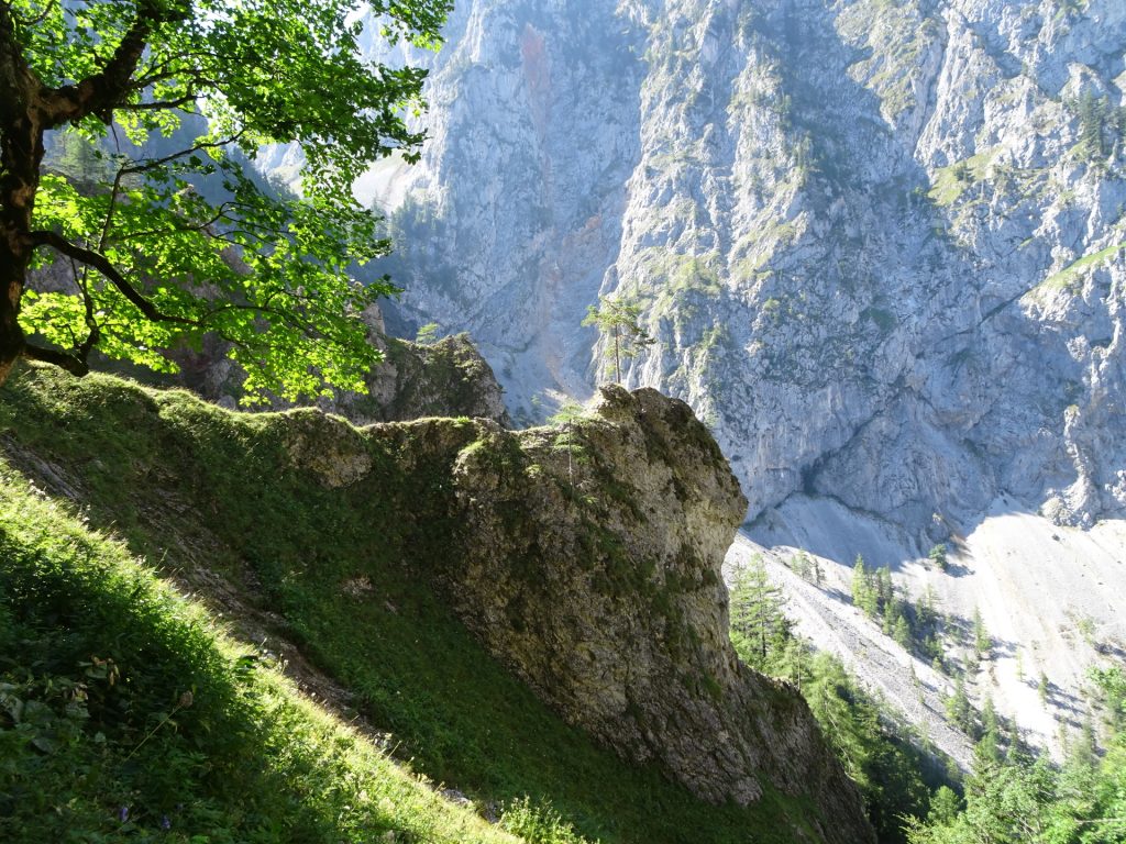 View from "Alpenvereinssteig"