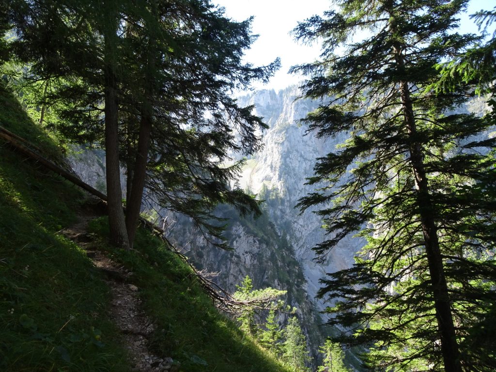 Hiking up "Alpenvereinssteig"