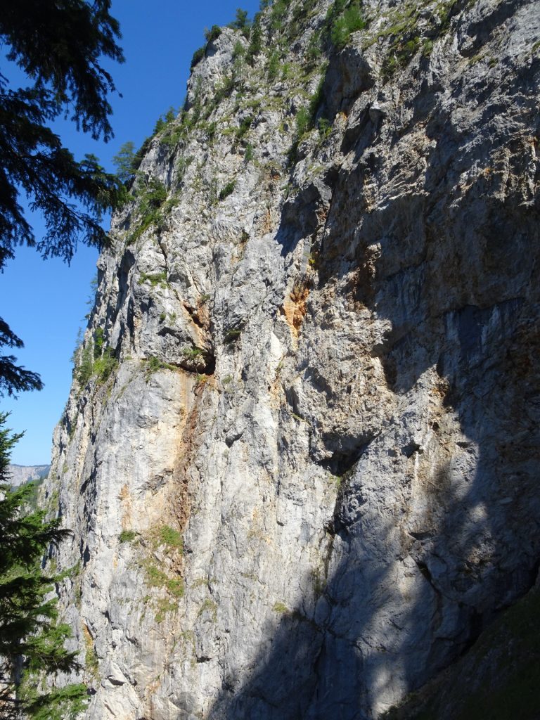 Impressive walls along "Alpenvereinssteig"