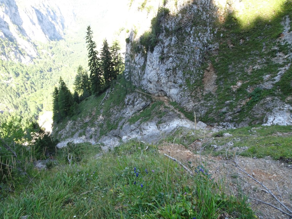 View back on "Alpenvereinssteig"
