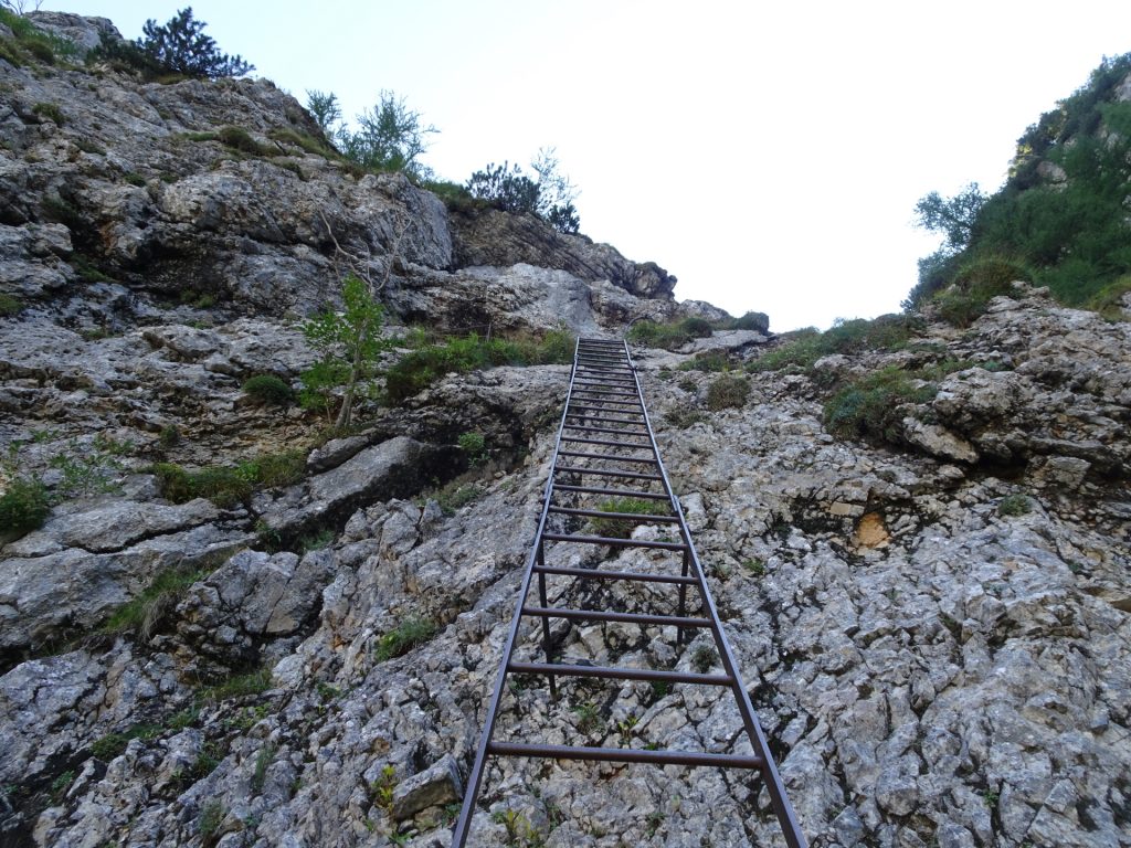 The ladder at the crossing between "Gustav-Jahn-Steig" and "Alpenvereinssteig"