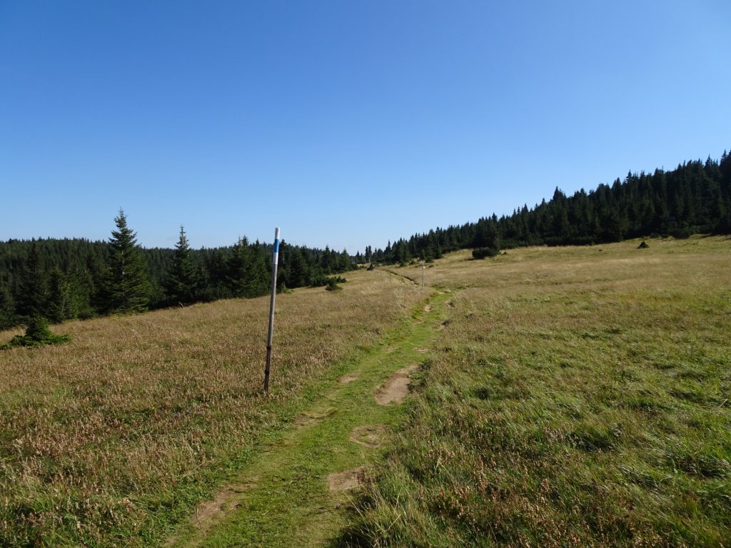 On the trail towards "Schwaigriegelsattel"