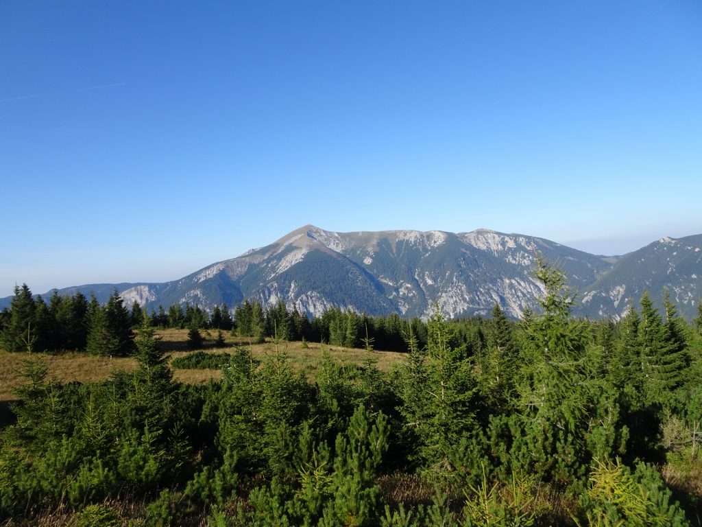 The "Schneeberg" seen from the trail towards "Berggasthof"