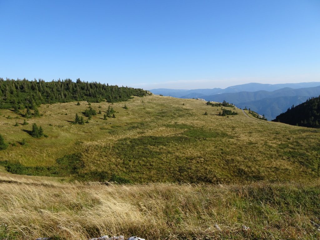View towards "Törlweg"
