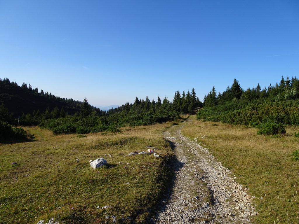 Follow the red-white-red marked trail towards "Wachthüttelkamm"
