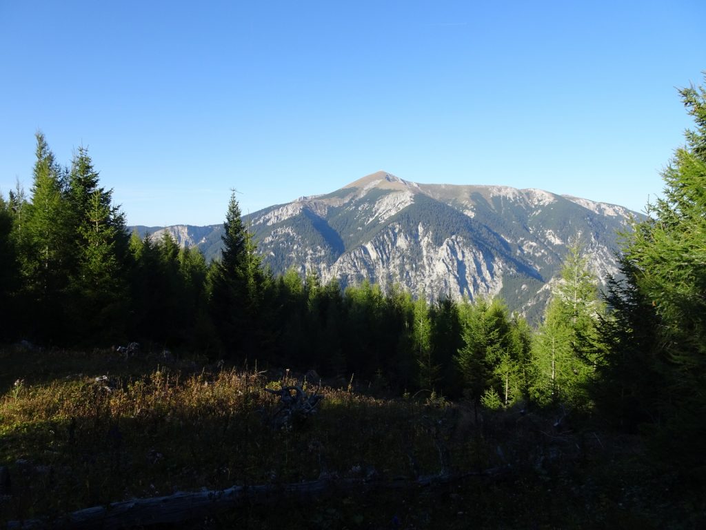 "Schneeberg" seen from "Wachthütteklamm" trail