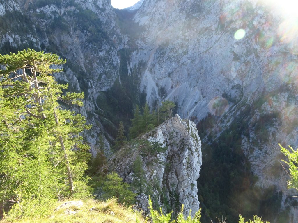 View from the upper end of the "Teufelsbadstubensteig"
