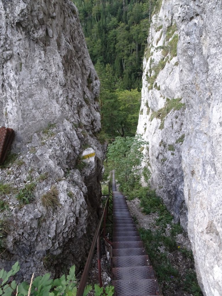 Descending the "Schönbrunnerstiege"