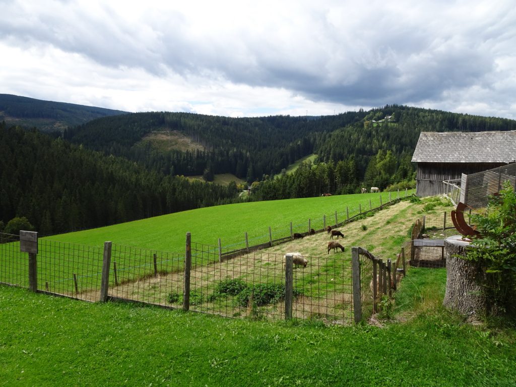 View from the terrace of "Schlagobersbauer"