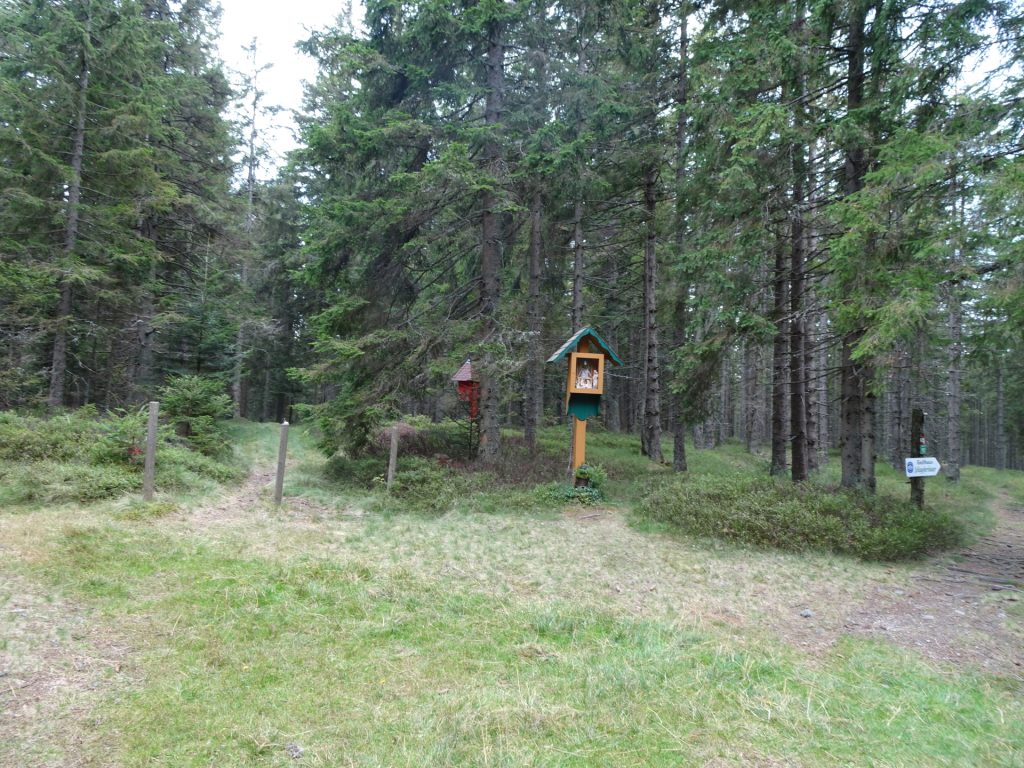 Trail towards "Hauereck"