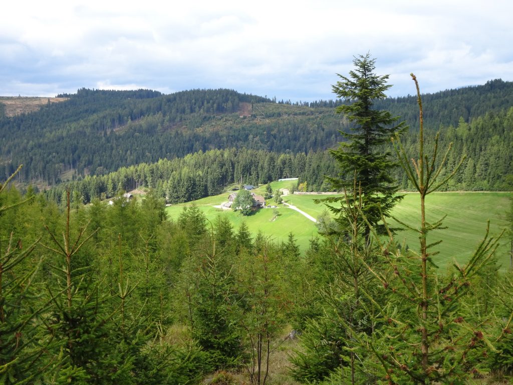 Trail towards "Hauereck"