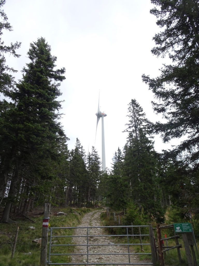 Getting closer towards the wind generators