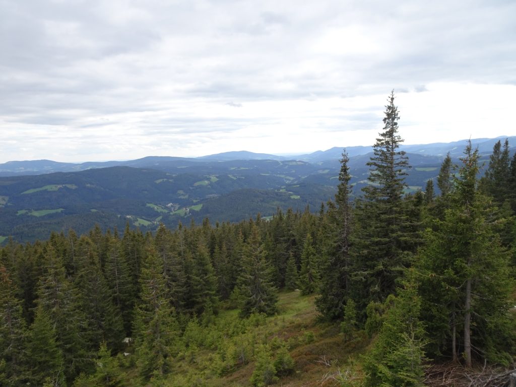 View from "Steinwandhittn"