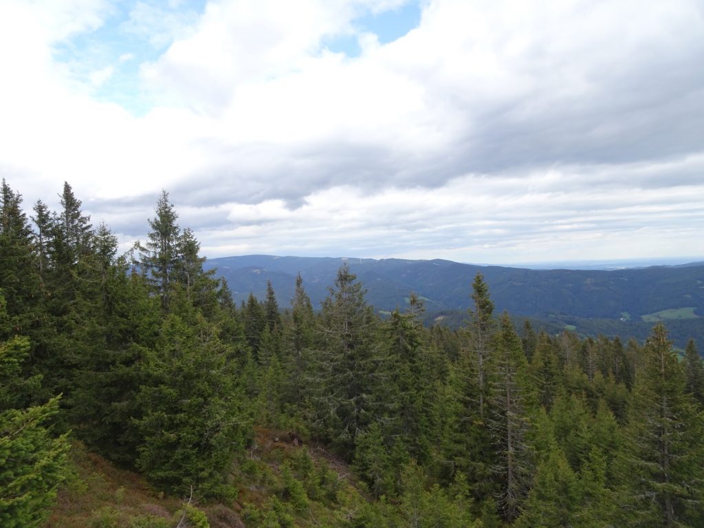 View from "Steinwandhittn"