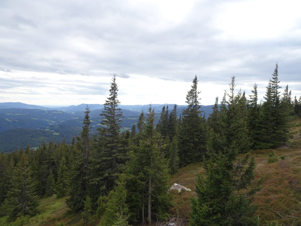 View from "Steinwandhittn"