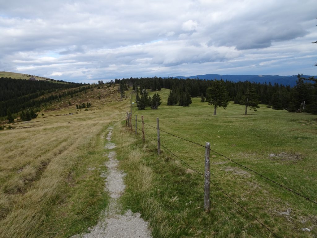On the trail towards "Roseggerhaus"