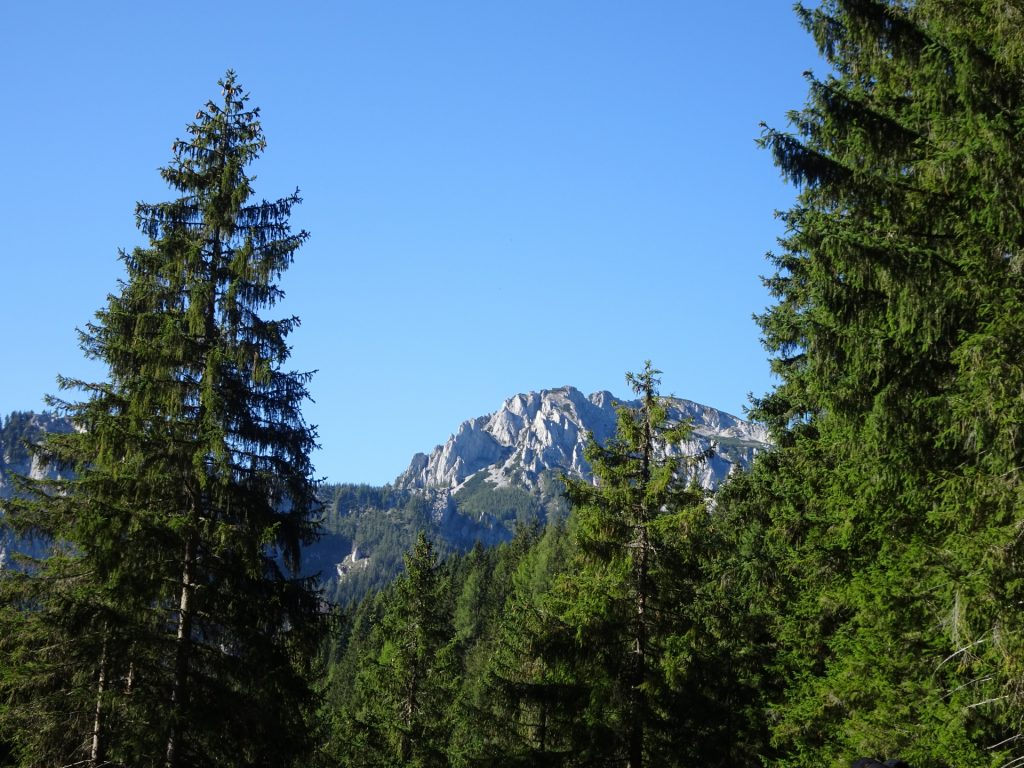 View from the "Russenstraße" towards "Sonnschienalm"