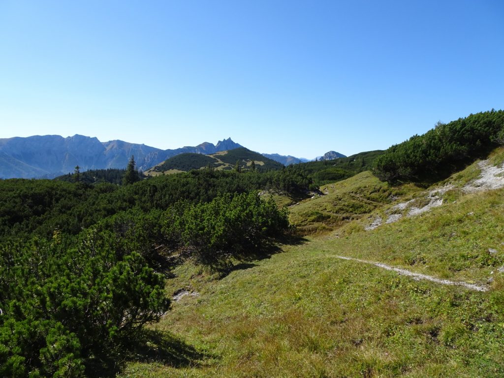 View from the trail towards "Ebenstein"