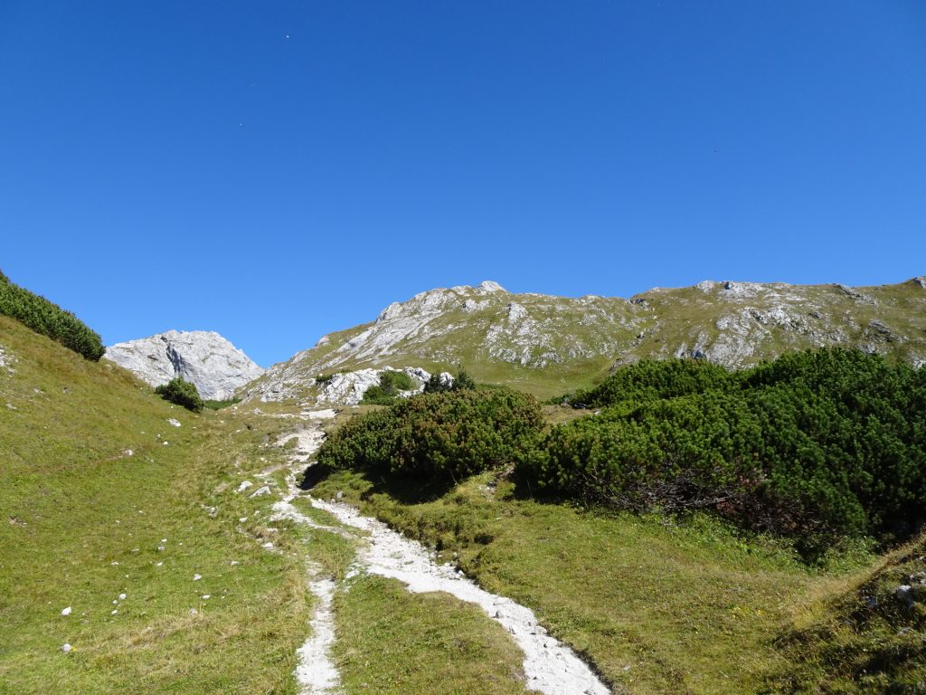 On the trail towards "Ebenstein"