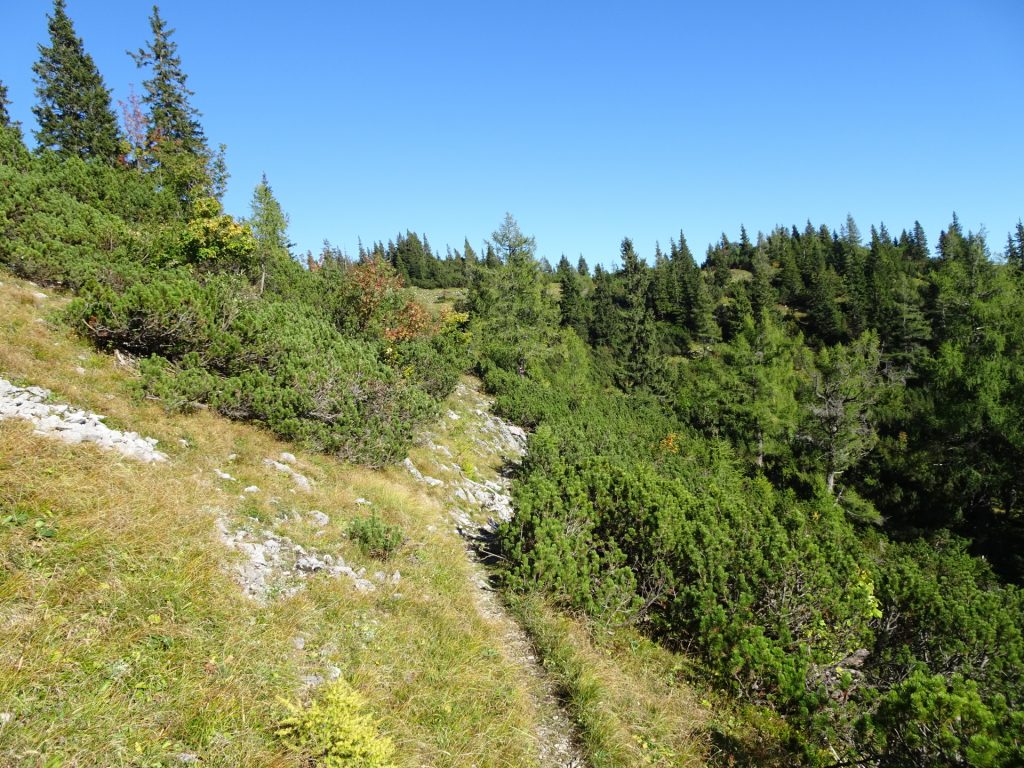 On the trail towards "Hörndlalm"
