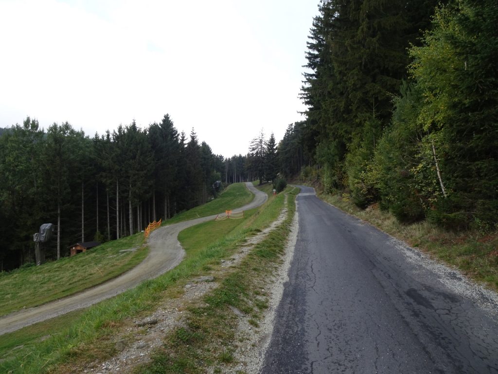 Follow the street along the ski slope upwards