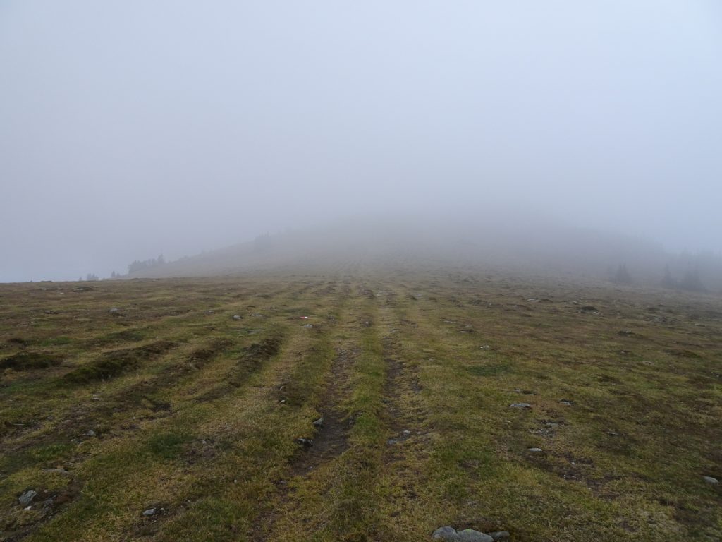 Towards "Niederwechsel" covered in fog