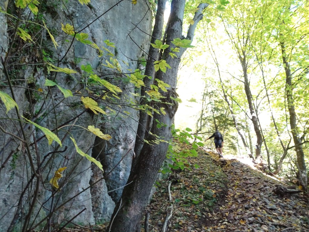 Hiking up "Leitergraben"