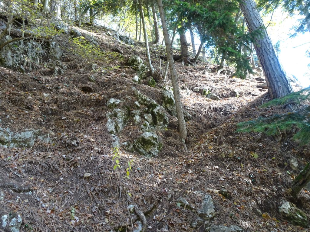 Find the trail through the badly marked "Leitergrabengrat"