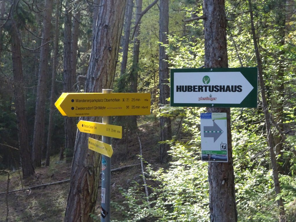 Turn left here and follow the trail towards "Zweiersdorf"