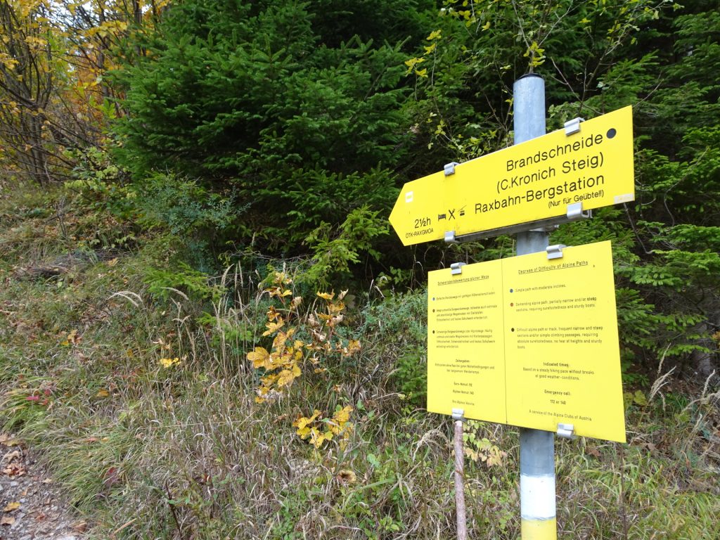 Turn left here and follow the white-yellow-white marked trail towards "Brandschneide"