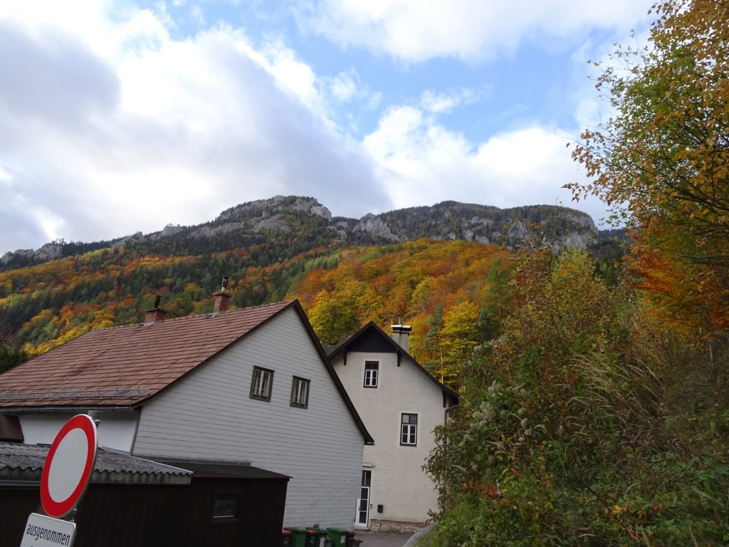 View up towards "Brandschneide" from "Kaiserbrunn"