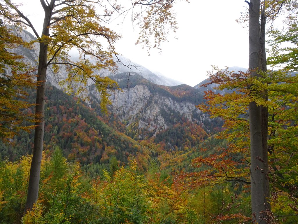 View from "Camillo-Kronich-Steig"