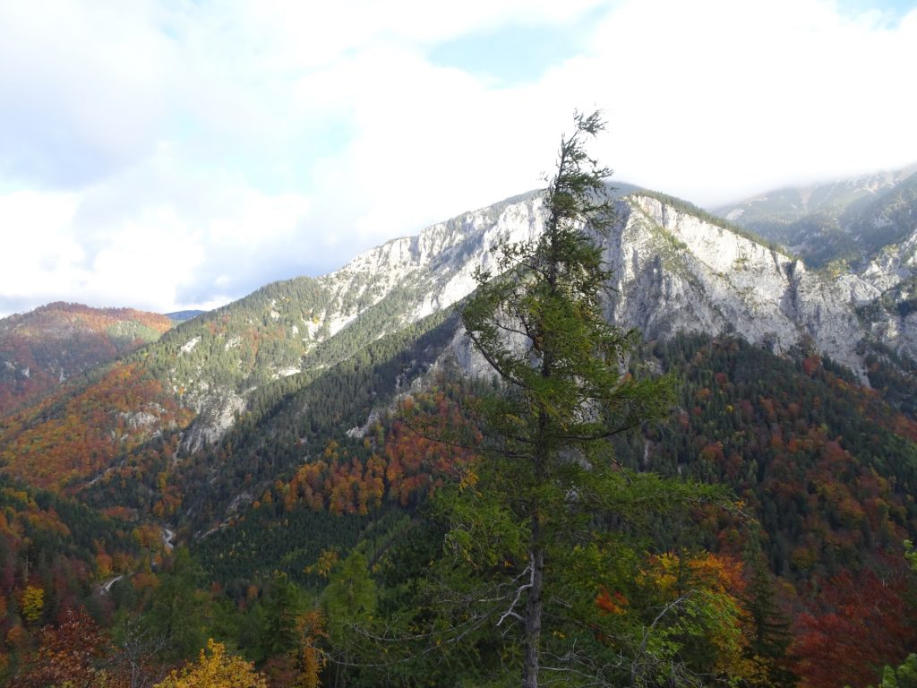 View from "Camillo-Kronich-Steig"