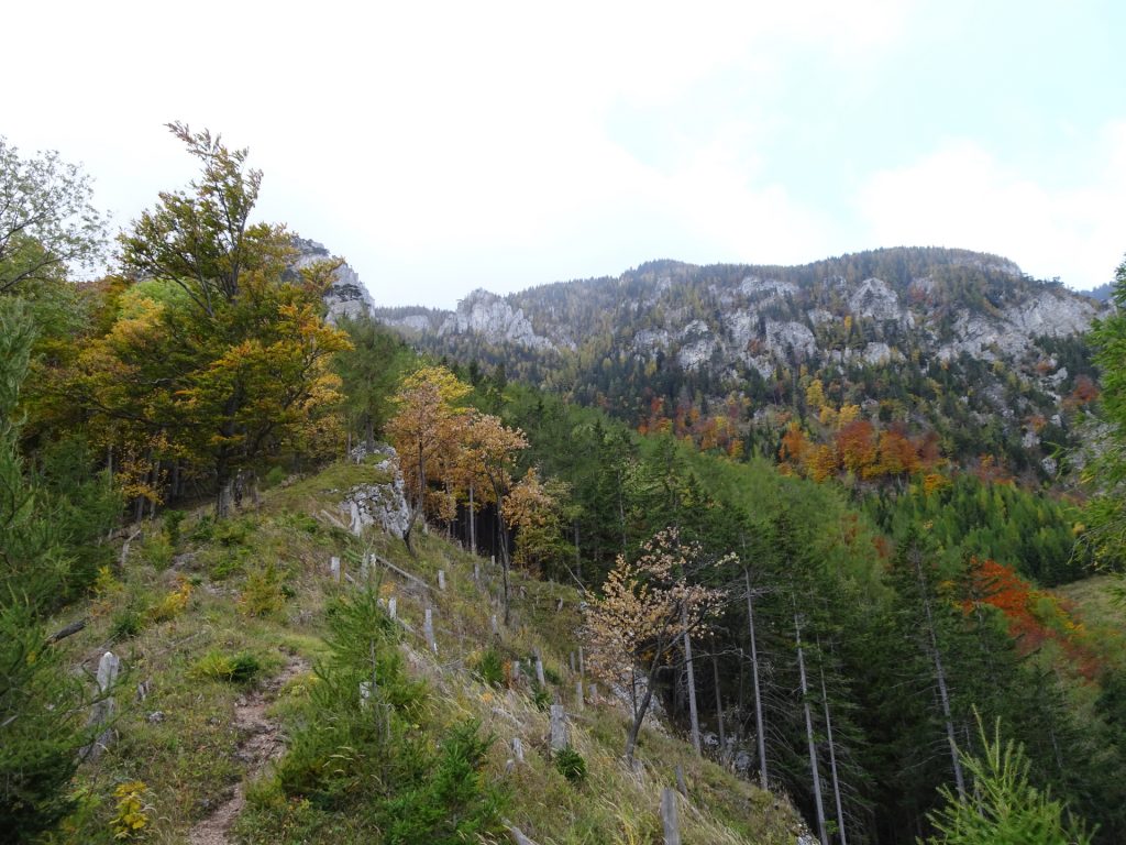 Hiking on "Camillo-Kronich-Steig"