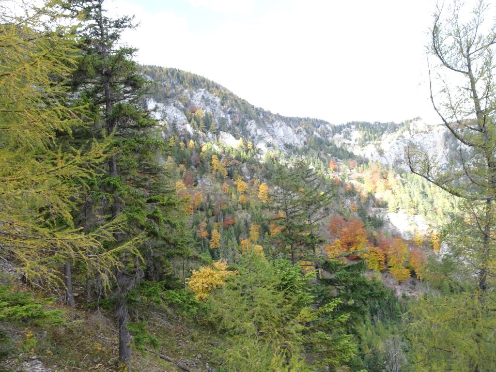 View from "Camillo-Kronich-Steig"