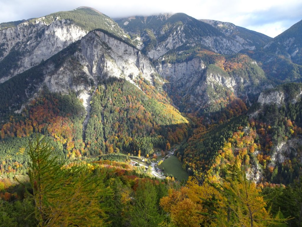 View towards "Schneeberg" from "Camillo-Kronich-Steig"