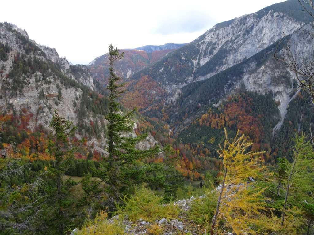 View from "Camillo-Kronich-Steig"