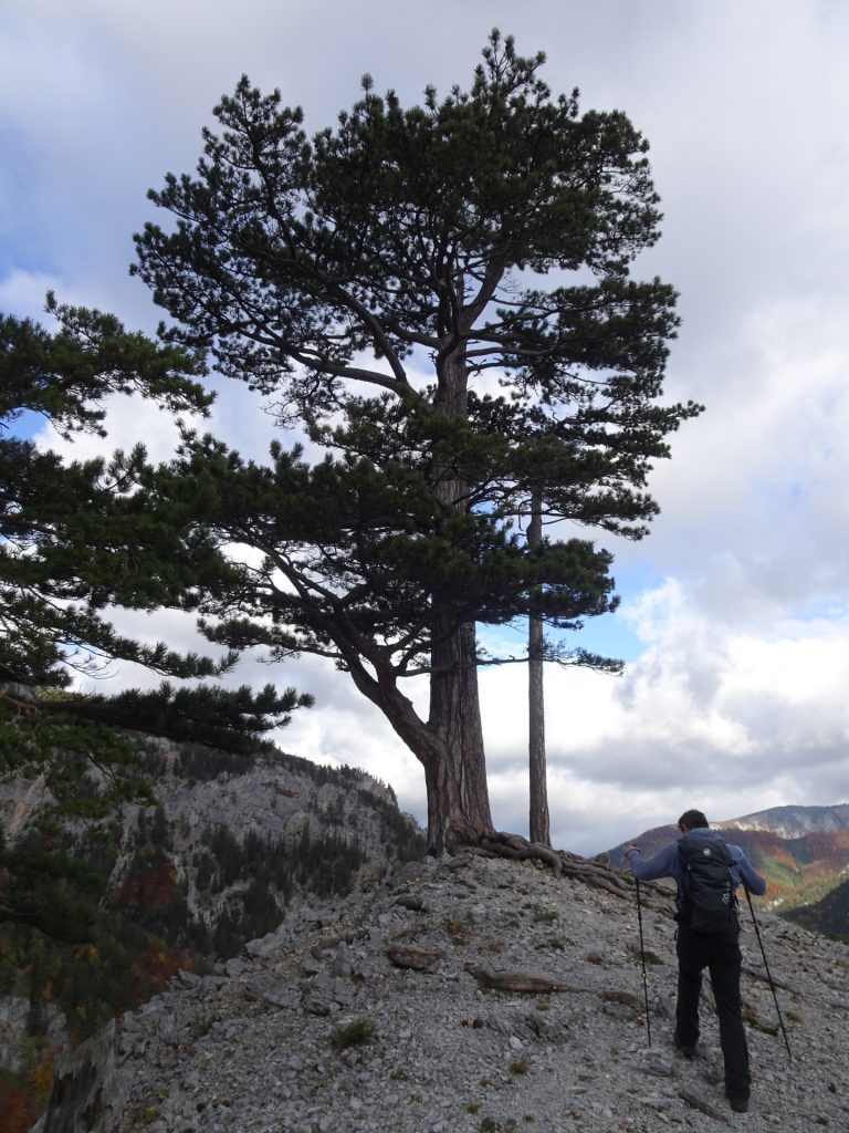 Robert climbs up "Camillo-Kronich-Steig"