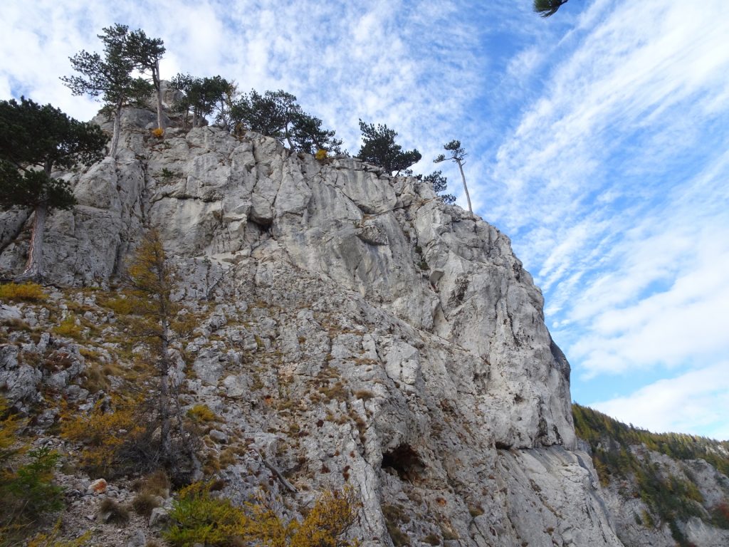 View from "Camillo-Kronich-Steig"