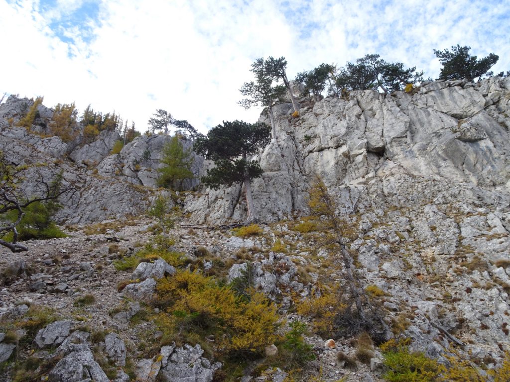 Climbing up "Camillo-Kronich-Steig"