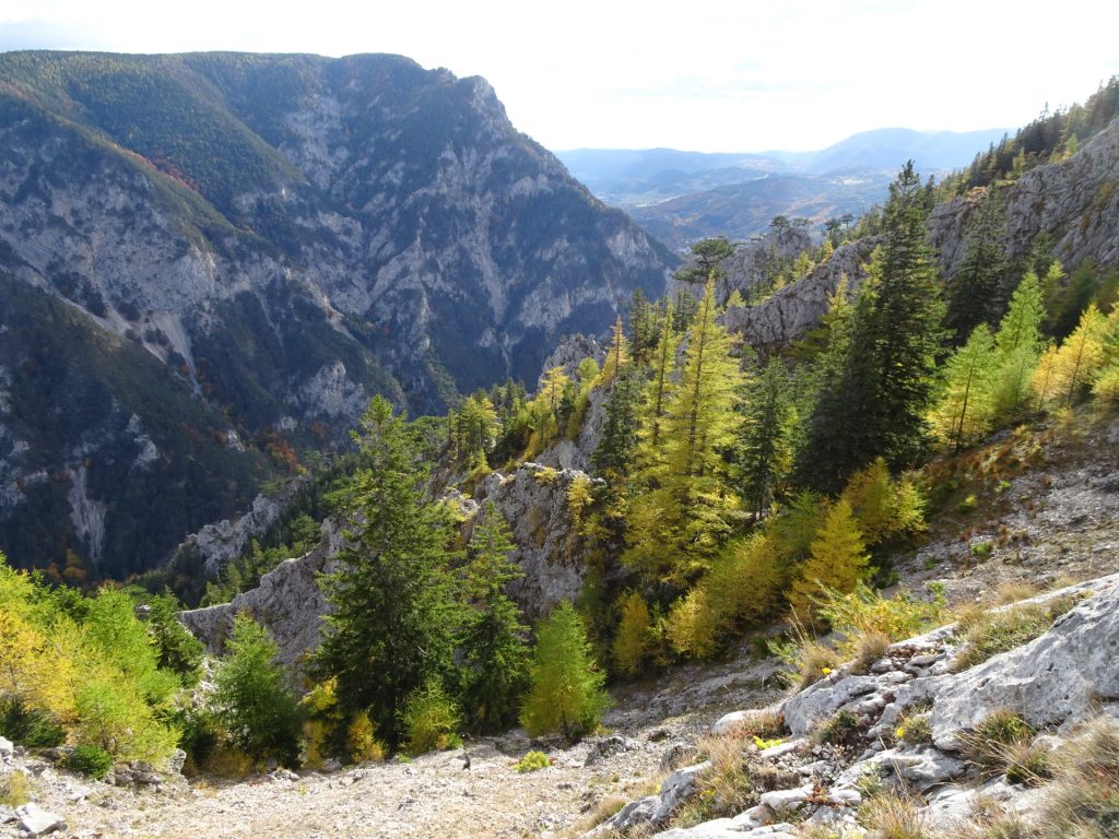 View from "Camillo-Kronich-Steig"